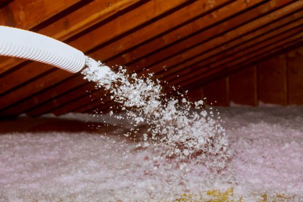 Best Insulation Installation Services in Rancho Santa Margarita, CA